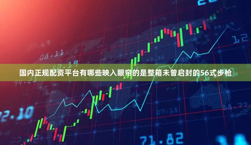 国内正规配资平台有哪些映入眼帘的是整箱未曾启封的56式步枪