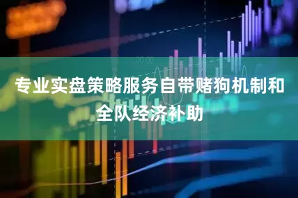 专业实盘策略服务自带赌狗机制和全队经济补助