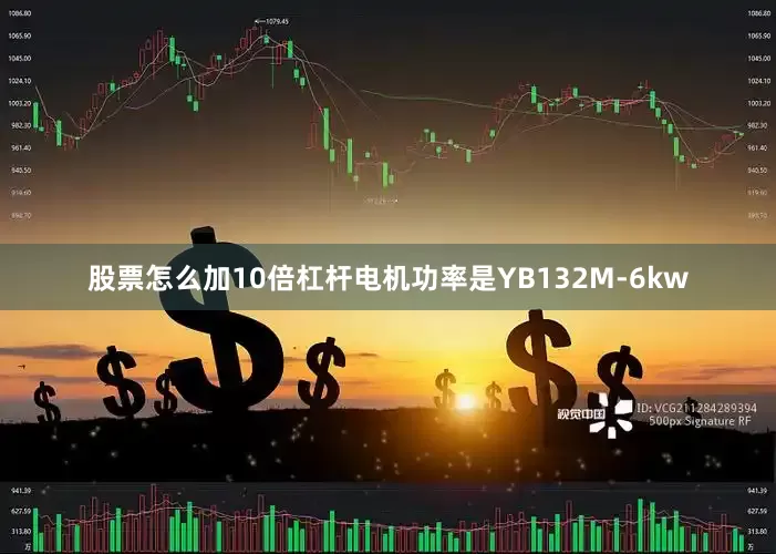 股票怎么加10倍杠杆电机功率是YB132M-6kw